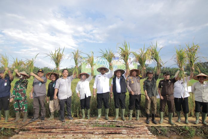 Pj Gubernur Babel, Safrizal, Gencarkan Program Ketahanan Pangan melalui Panen Raya di Desa Banyu Asin