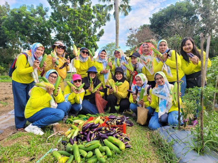 TP PKK Babel Bagi Sayur yang Ditanam di Rumah Gubernur ke Lansia & Panti Asuhan